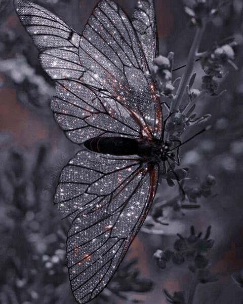 #Wednesday|Appreciation
Spécifique : <a href="/SirendeLamour/">𝗝𝝝𝗦𝗘𝗣𝗛𝗜𝗡𝗘 𝗖𝝠𝗦𝗧𝗜𝗚𝗟𝗜𝝝𝗡𝗘</a> 

"I climbed my secret stairway to the skies."  ―San Juan De La Cruz