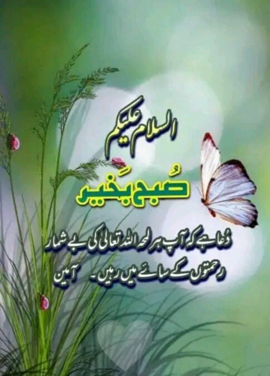 Arif ur Rehman Jadoon🇵🇰 tweet media