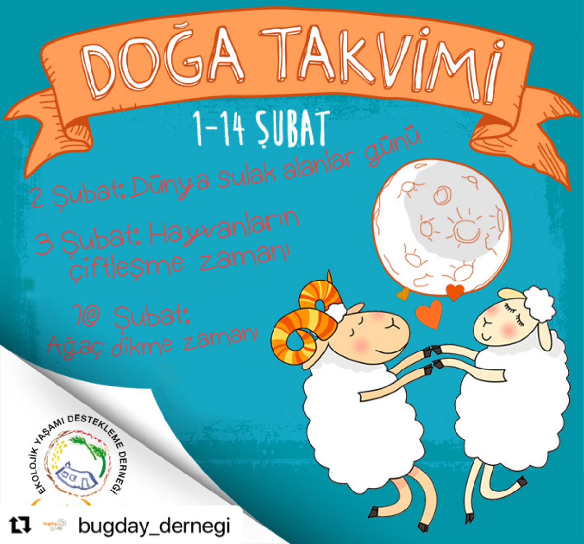 Sulak alanlarımızı koruyalım, yeryüzünün nefes alan her yerinde yaşamı savunalım. 💙

#BuğdayDerneği #DoğaTakvimi #YaşamıSavun #YaşamDönüşümdür

İllüstrasyon ve tasarım: Tolga Demirel
#repost @bugday_dernegi
