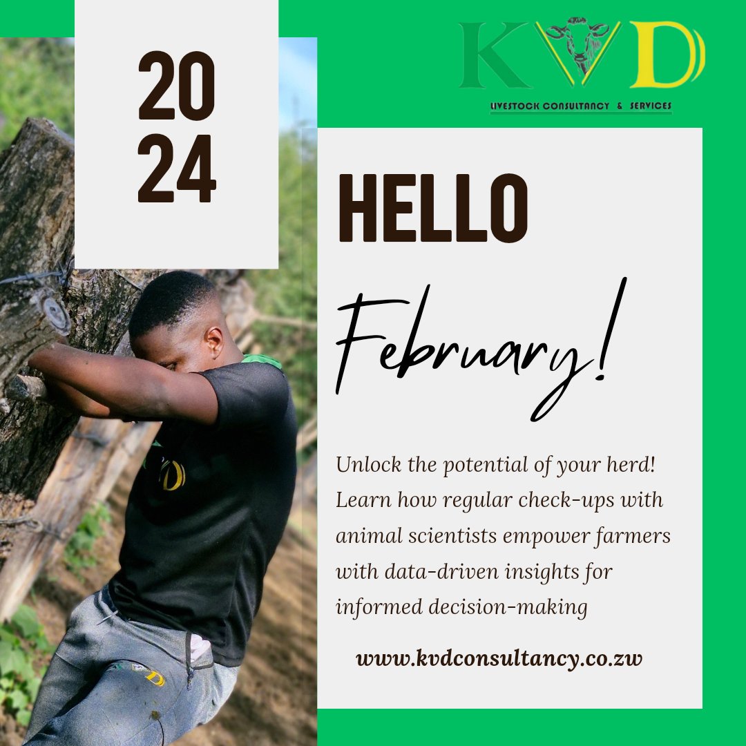 kvdconsultancy tweet media