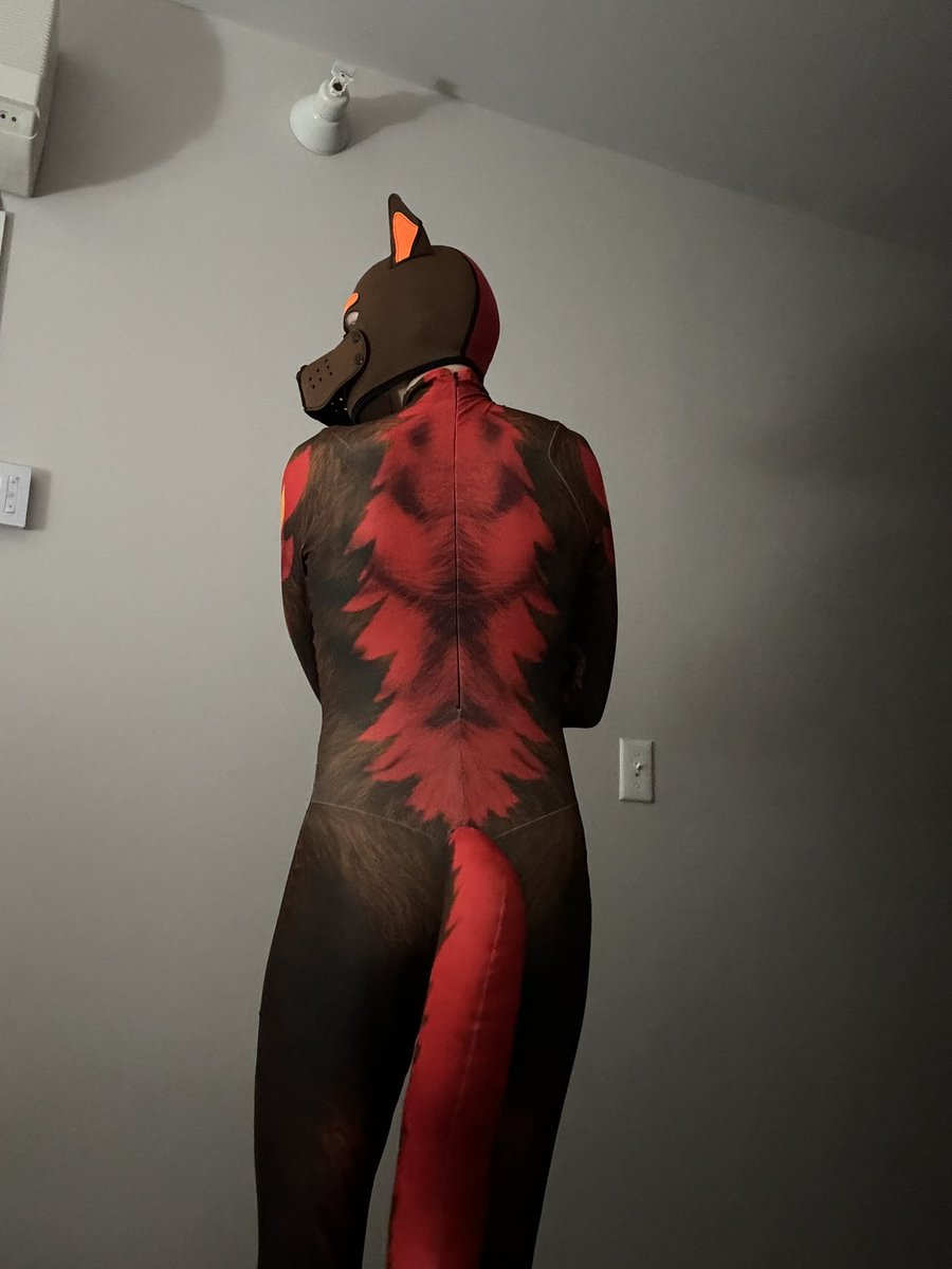 MonsMawsAD's tweet photo. Thank you @PETSUITFORFUN for the amazing work you put into my suit! Loved wearing him ever since I got him. https://t.co/ehpBRQwbZt
