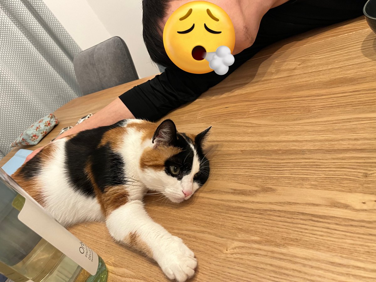 doricat1130's tweet photo. 배불러서 뻗은 부녀 https://t.co/S4zgG0TZdW