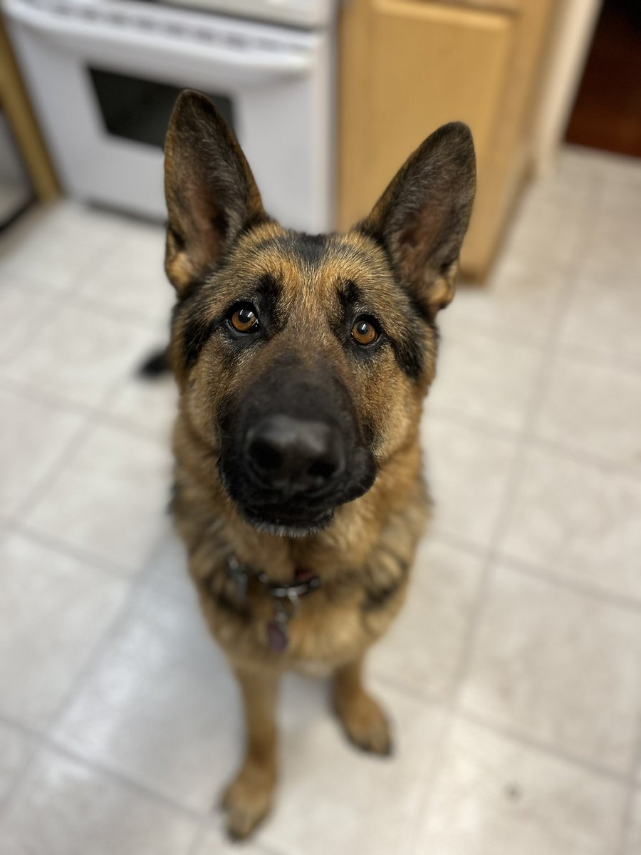 Aimee👑 tweet media