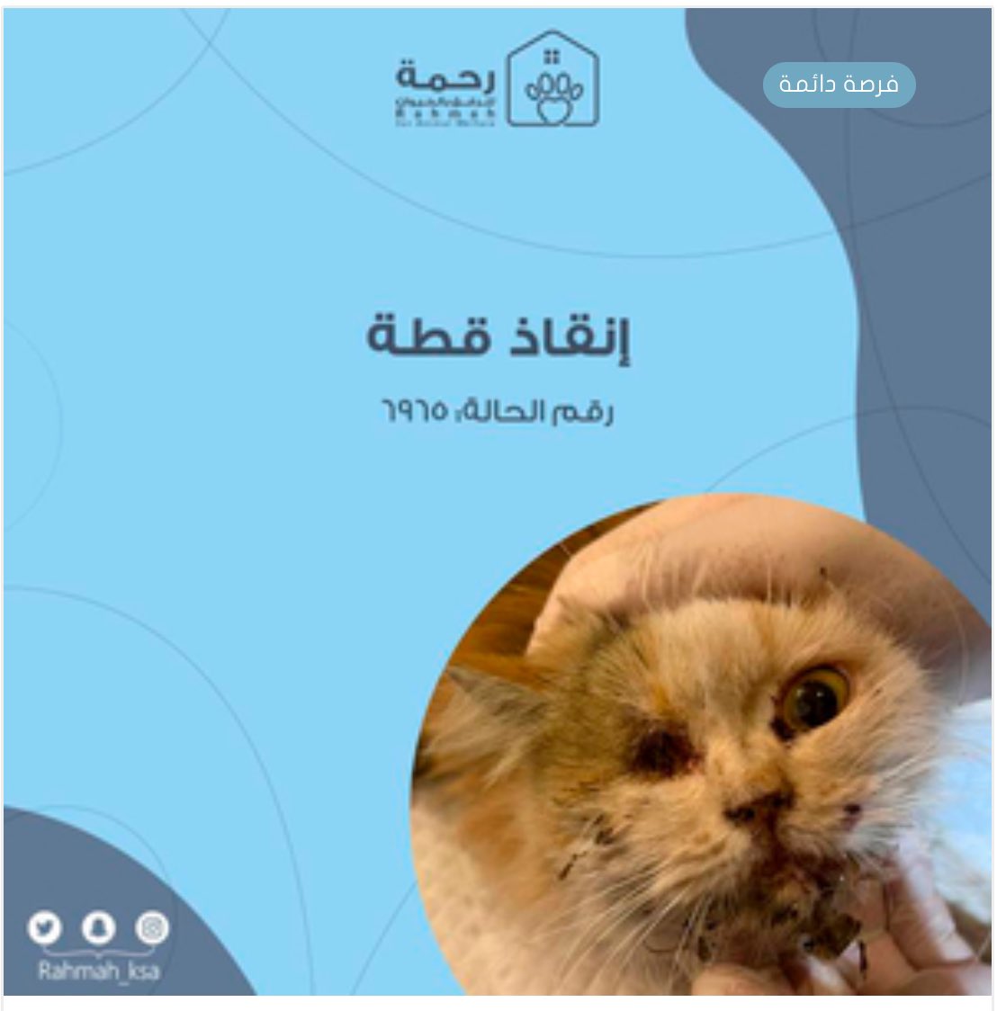 rahmah_vc's tweet photo. -سداد حالة إنقاذ-

الاسم: كاليكو

العمر: سنة

تاريخ الانقاذ: 31/ 1 / 2024 م

التشخيص: 
- التهاب في الفم مع تقرحات شديدة
- إصابة في العين اليمنى أدت إلى فقدان العين وتحتاج إلى عملية جراحية
- إصابة في العين اليسرى ويوجد قرحة في القرنية
- جفاف 

للتبرع:
https://t.co/BV7Y8hlKIf https://t.co/K3nMaNPkwP