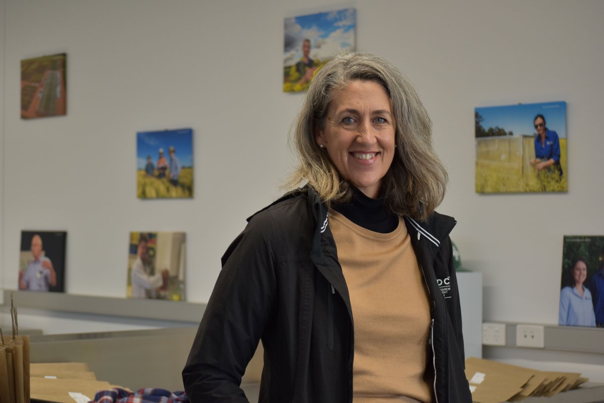theGRDC's tweet photo. The GRDC Northern Grains Research Update Series 2024 is about to kick off! Will we see you there? https://t.co/FbC8J4U9Jo
#WaggaWagga #Corowa #Baradine #Goondiwindi #BurrenJunction https://t.co/ph5CVMLlGd