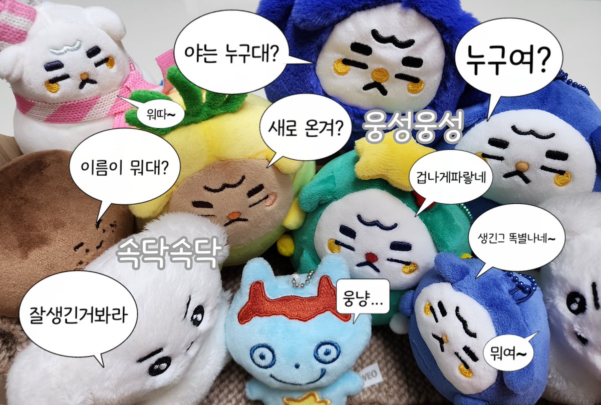 #우리_강모_자랑대회

새 가족이 된 걸 환영해~💝