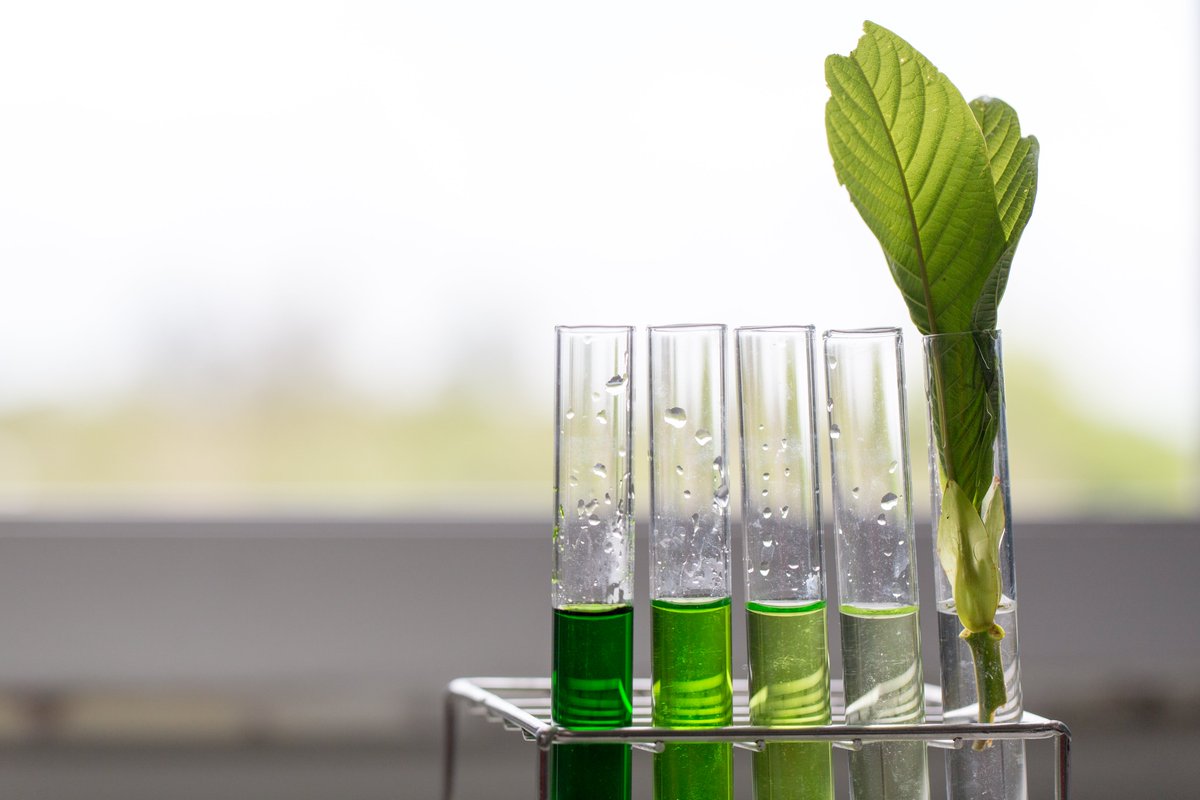 FRACTION_EU tweet media