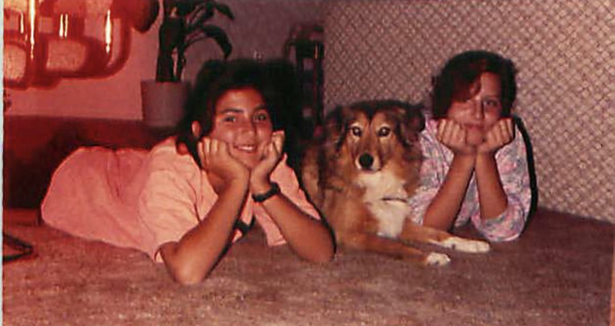 Tara Fisher tweet media