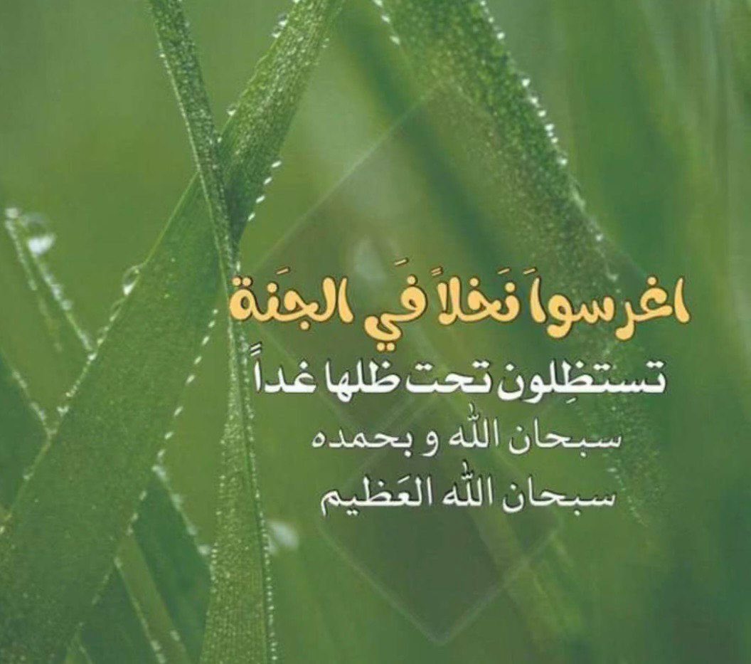 yar_Y5's tweet photo. #الضمان_الاجتماعي_المطور https://t.co/TRCznX3GiN