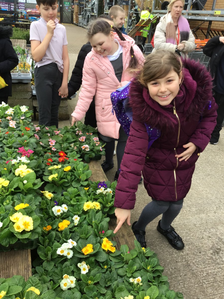 TirMorfa's tweet photo. We have been looking at pots, plants, seeds and soil, ready for our work with the Social Enterprise Academy. Da iawn Dosbarth Brenig! @sea_worldwide #ytmbrenig #ytmeic #ytmsctech #ytmwellb #ytmllc https://t.co/r8djSBs5GH