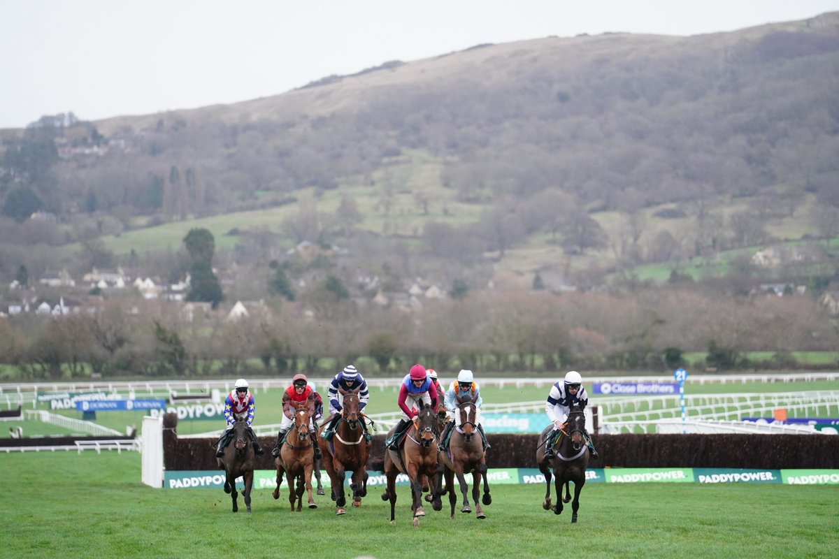 CheltenhamRaces's tweet photo. Do you have a unique story to tell about the Cheltenham Festival? 👀

We’re looking for super fans to help us celebrate 100 years of the Boodles Gold Cup. Pop your memory below &amp; we may be in contact with some free 🎟️ https://t.co/fApGUvYoYS