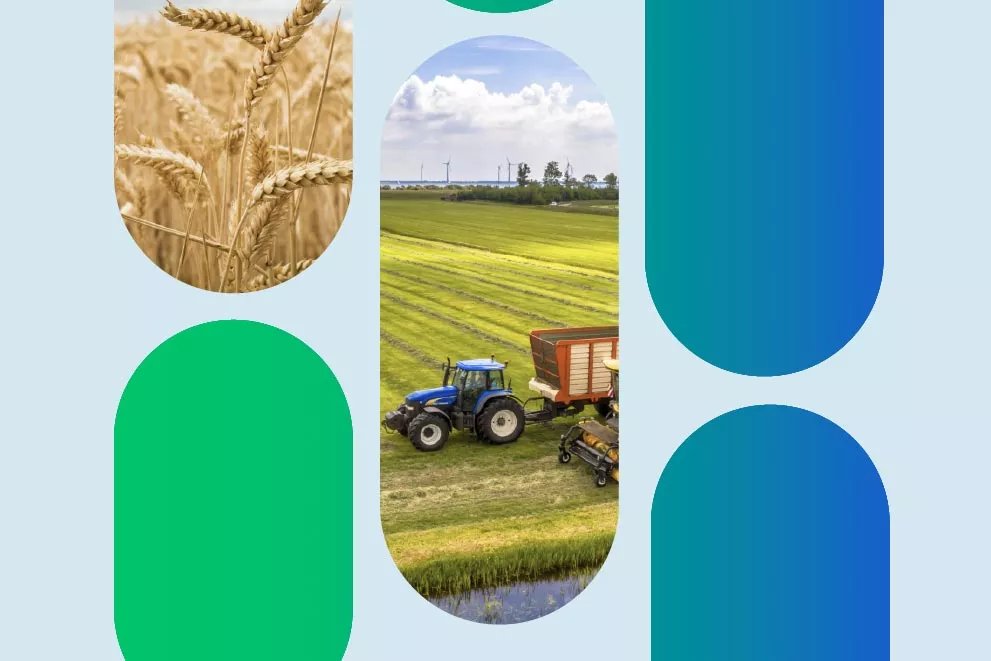 Ruralities tweet media