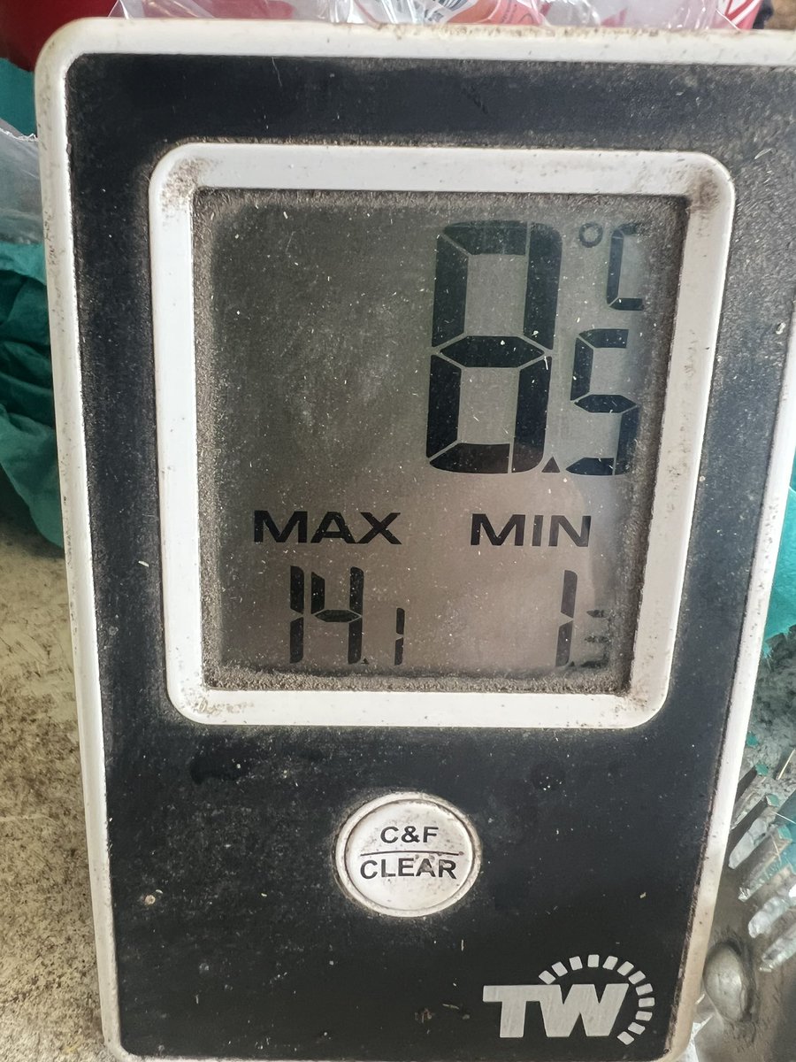 Dan Nattle tweet media