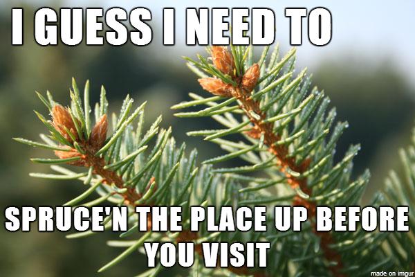 CustomStump's tweet photo. Share our posts with your friends! 

It helps our name get out there and people will think you are 🤓 #Smarter! 

#CustomStumpTreeService #TreeMan 

Visit our website at 👉 https://t.co/dIVI2v0mJc. https://t.co/Sc3KEQIYt6