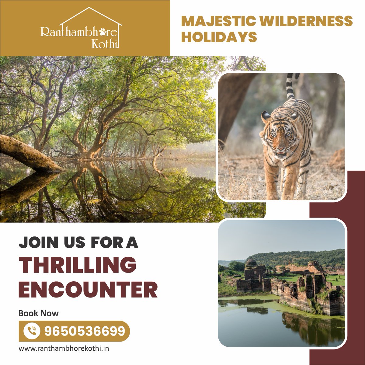 #RanthambhoreKothi  #WildlifeAdventure #TigerEncounter #NatureEscape #HistoricJourney #SafariExperience #ExploreRanthambhore #NatureAndHistory #ThrillingEncounter #TravelToDiscover