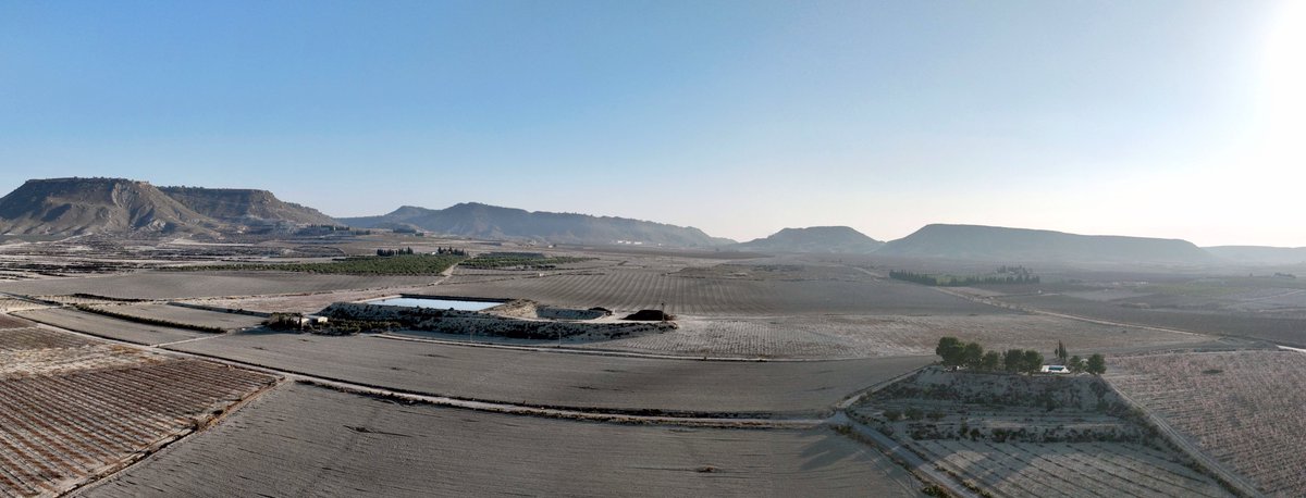 miglucas305's tweet photo. #Febrero2024 empieza la #floración en la #RegiondeMurcia, hoy #Yechar de #Mula con #dronepanoramics y #videodrone que muestran #melocotoneros #nectarinas bajo un #sol y #cieloazul del #invierno2024. @la7tele @tiempobrasero @jacobpetrus_tve @SomosMeteo @MeteoChatSE @MeteOrihuela https://t.co/8HmBgCVYVT