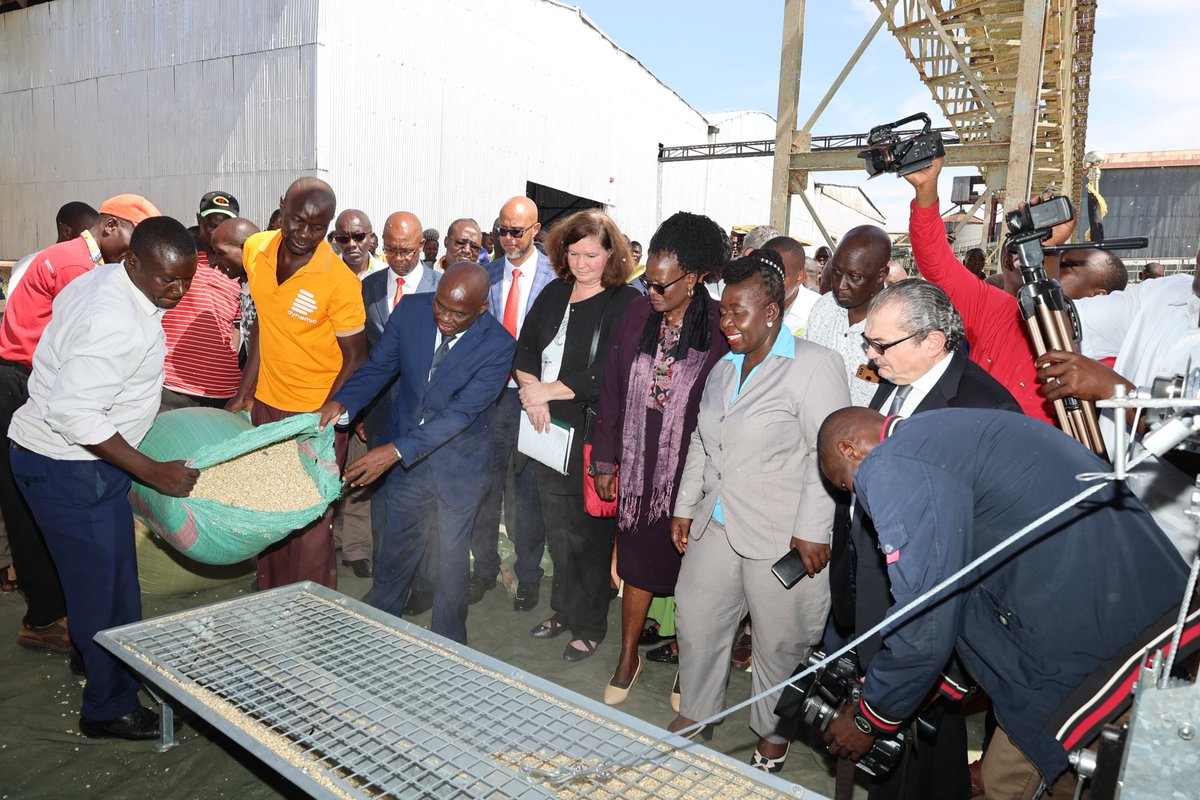 TradeMarkAfrica's tweet photo. . @GAC_Corporate  equips 🇰🇪 with groundbreaking aflatoxin decontamination plants. These plants at Bungoma &amp; Nairobi will cut aflatoxin levels in grains, enhancing food safety &amp; boosting regional trade. This initiative can cleanse 98% of aflatoxins in food commodities. #FoodTrade https://t.co/NdDnz7eTp4