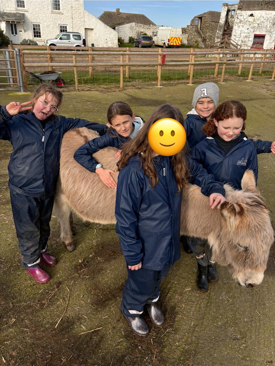 Group C have really enjoyed sending time with the donkeys today! @gladstonebarry @Treginnis_FFCC