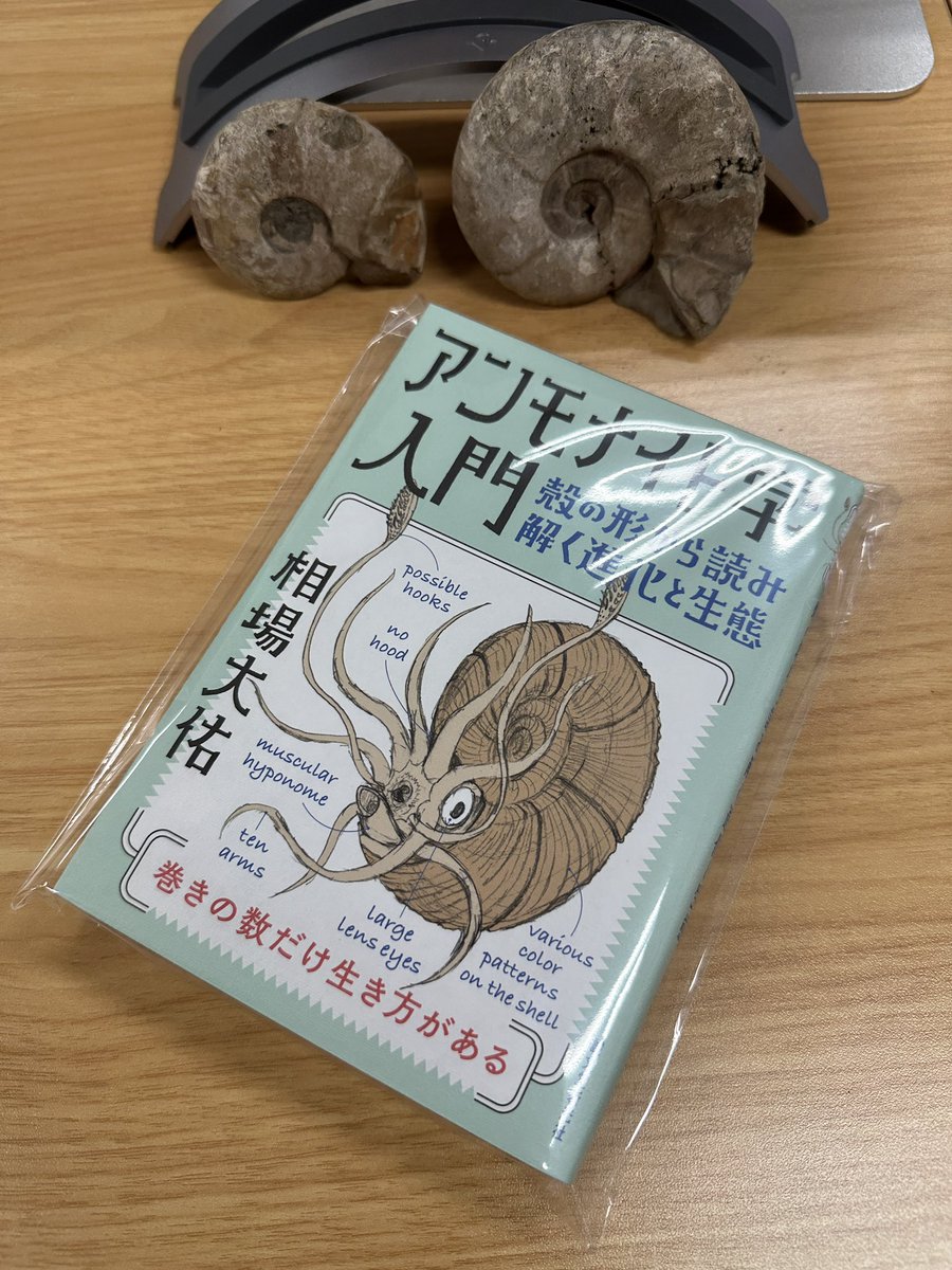 anemone 復刻版 ソマチッド お得なソマチッドキャンペーン | Apro Note