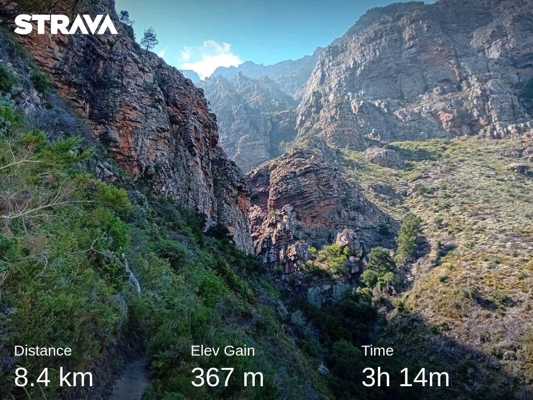Charl_Cilliers's tweet photo. Guided hike #2 for Odette and her daughters. #fieldguide #tourism  #hiking  #tourguide #stellenbosch Check out my activity on Strava: https://t.co/b1B2HQG12P https://t.co/6j2qYQ1WcN