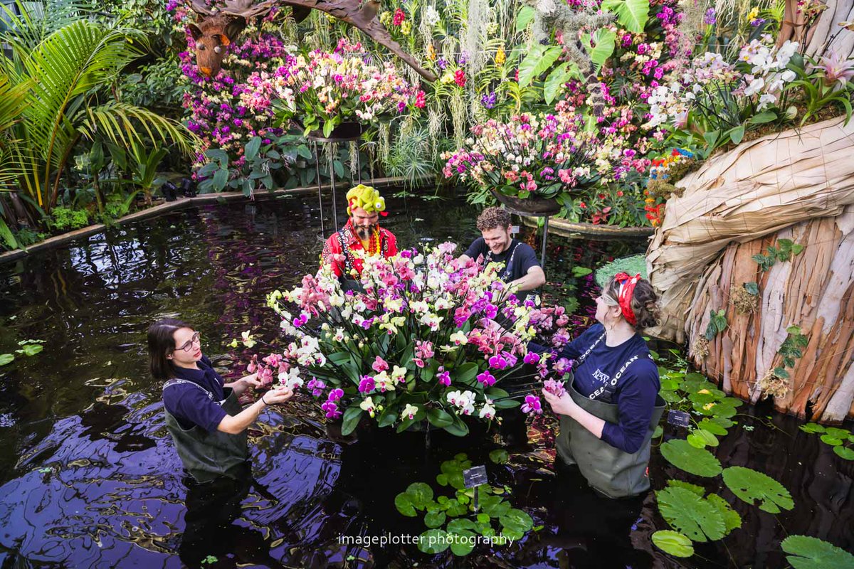 imageplotter's tweet photo. And a few shots from the always beautiful Orchid Festival photocall at @kewgardens, also this morning. This year's theme is the beauty and biodiversity of Madagascar. And the fab Henk Röling wearing a Chameleon &amp; Lemur 🙂🇲🇬. Pic sets also at Alamy Live News and Avalon Retna. https://t.co/Ry06psnfTw
