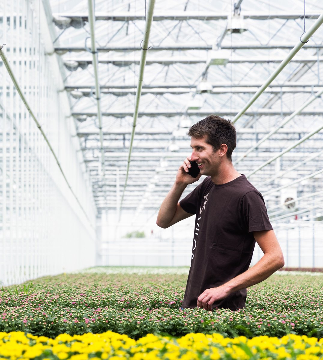 VilosaPlants's tweet photo. #Ordermanager gezocht! 💥 In deze veelzijdige functie ben jij dé verbinder tussen productie en verkoop. Jij staat in contact met het aanbod op de locaties en weet precies welke orders er gepland staan voor klanten 🌱 Ben jij de schakel die we zoeken? 🙌 https://t.co/uWmegghZKn. https://t.co/lI3YxFbVRl