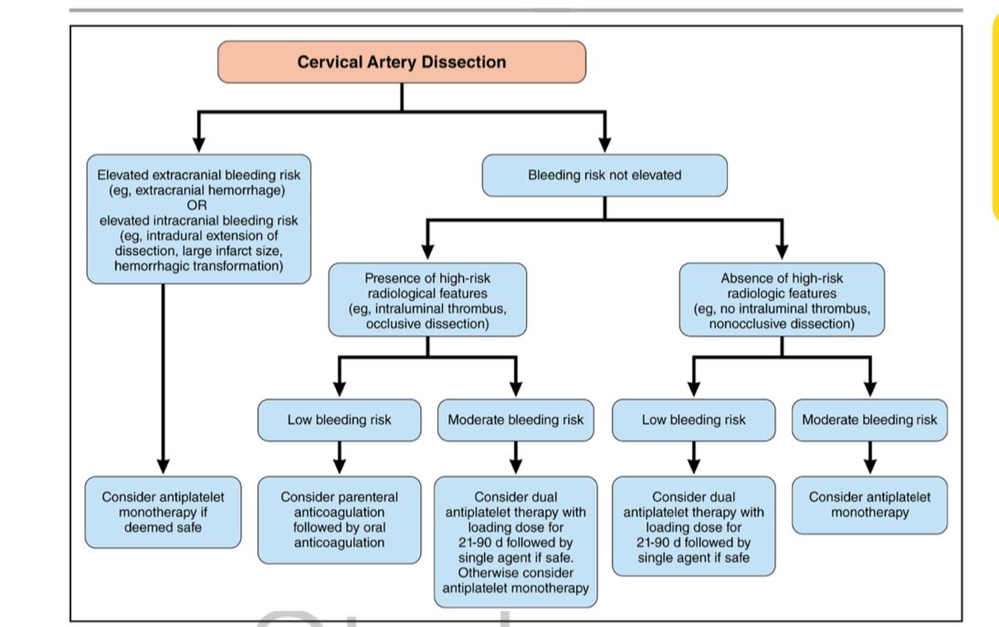 A helpful guide for providers managing patients with cervical artery dissection. Grateful for @AHAScience for commissioning this statement and for all the support they provided. Also grateful for being part of this incredible co-author team. #stroke #CAD ahajournals.org/doi/10.1161/ST…