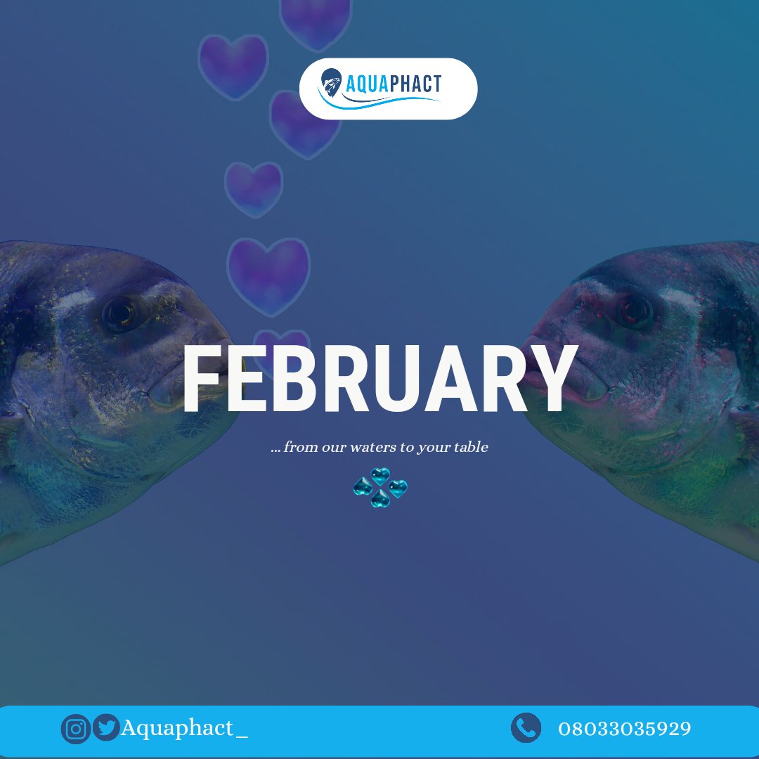 Aquaphact_'s tweet photo. It's February 🎉🥰💯 https://t.co/3GnHltQDRU