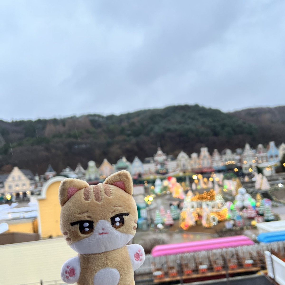 라스트팡!
처음으로 푸바오형아랑 도치형아랑 만났어요😎