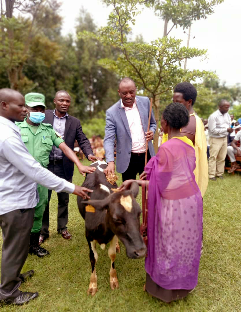 SectorNkanka's tweet photo. Nkanka Sector @RusiziDistrict, Umunsi w'Intwari z'Igihugu wizihijwe, abaturage bashima Intwari z'u Rwanda, mu mbyino n'indirimbo bivuga imyato ababohoye u Rwanda. muri ibyo birori Imiryango 2 yorojwe inka  ndetse habaho n’ubusabane.byayobowe na ES @GNTIVUGURUZWA 

 TUJYANEMO!!!! https://t.co/UEbZsECgUR