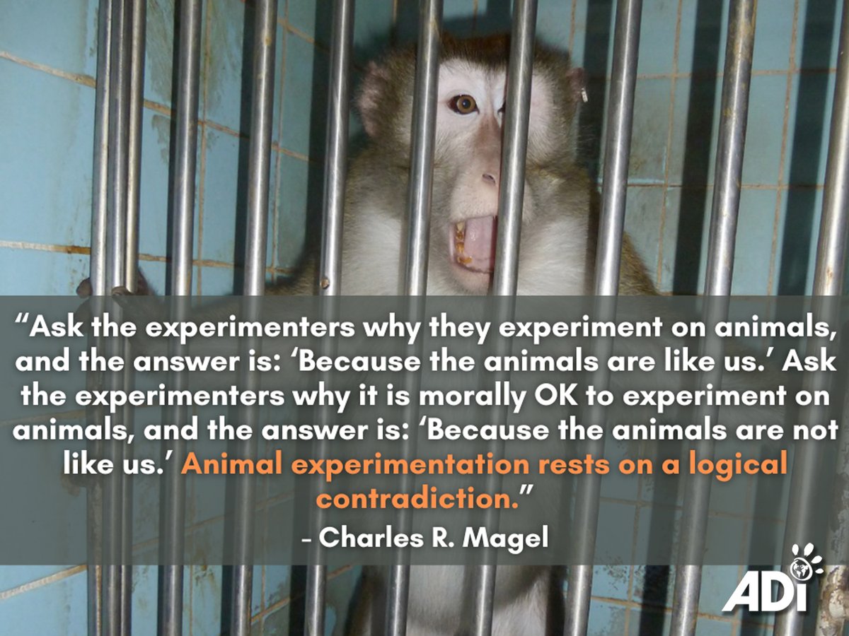 AnimalDefenders's tweet photo. #animalexperiments #endanimalexperiments #quotes https://t.co/VZLuM14UHS