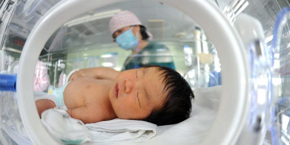 Mr Rabbit tweet media