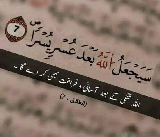 Ans tweet media