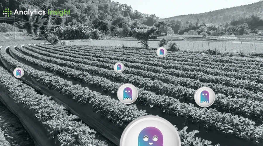 analyticsinme's tweet image. How to Yield Farm on Aave (AAVE) Protocol

tinyurl.com/zw2k5nc3

#Aave #Yieldfarming #Decentralizedexchange #Ethereum #Liquidation #AINews #AnalyticsInsight #AnalyticsInsightMagazine
