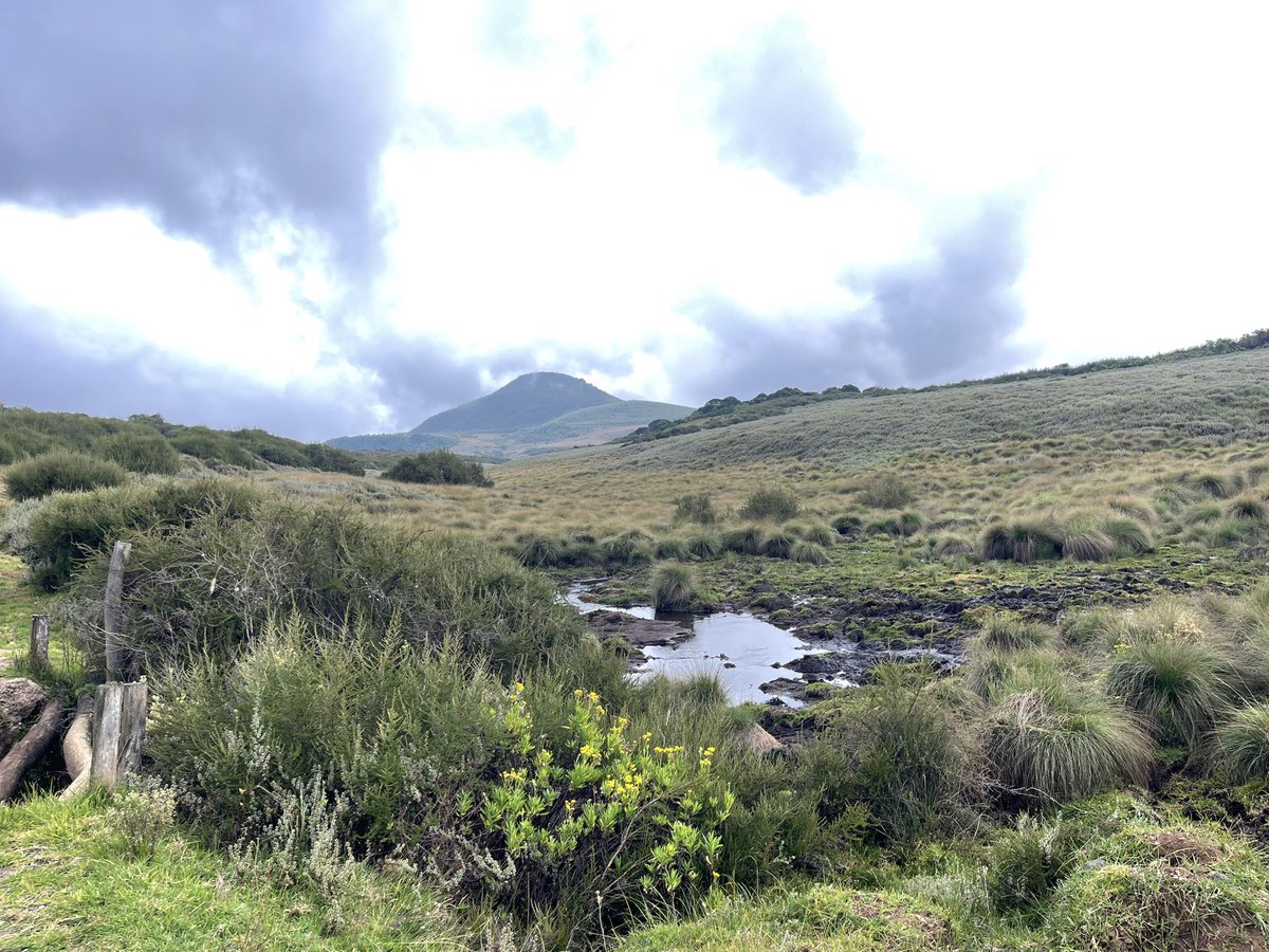 Ensuring sustainable Water supply is vital, but let's not overlook the urgency of Catchment conservation in Kenya 🇰🇪 By prioritizing the protection of our #rivers, & #wetlands, we can secure long-term water availability, support biodiversity, & safeguard against climate change.