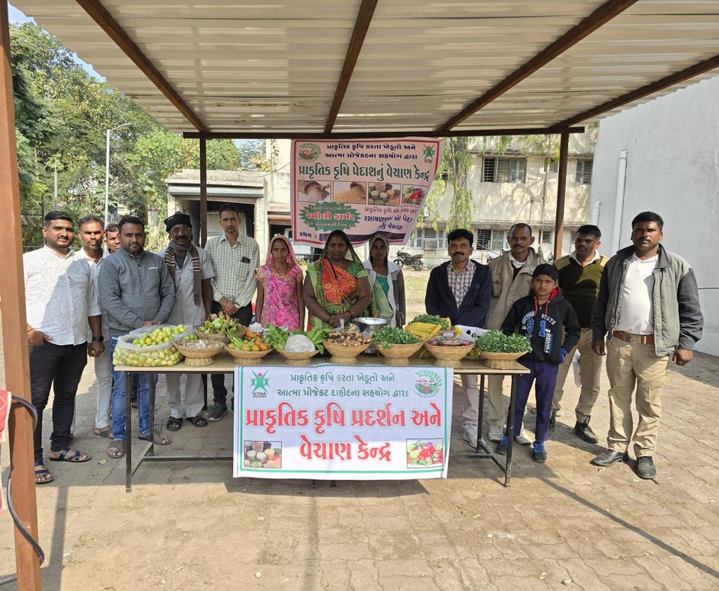 AtmaDahod's tweet image. જમીન ચકાસણી પ્રયોગશાળા પાસે, ખેડૂત તાલીમ કેન્દ્ર, ચાકલીયા ચોકડી, દાહોદ પાસે કાર્યરત પ્રાકૃતિક કૃષિ વેચાણ કેન્દ્ર દાહોદ ની મુલાકાત લેવા દાહોદ શહેરની તમામ જનતાને અનુરોધ કરવામાં આવે છે. જિલ્લાના ખેડૂતોને પ્રોત્સાહન મળી રહે તે હેતુથી પ્રાકૃતિક ખેત પેદાશોની જ ખરીદી કરવા વિનંતી.