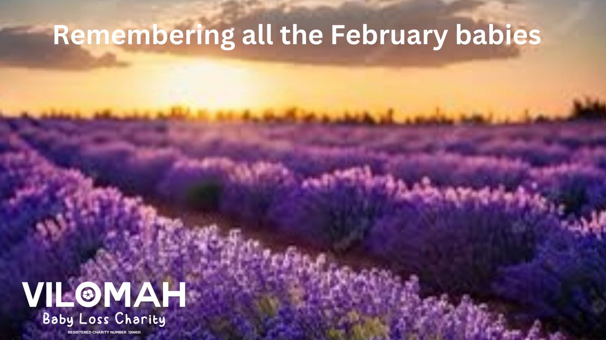 This post is in memory of all February babies. 

#Vilomah #BabyLoss #BabyLossAwareness #BabyLossSupport #BabyLossCommunity #Stillbirth #Miscarriage #TFMR #PregnancyLoss #PregnancyAndInfantLoss #ChildLoss #BereavedMother #BereavedFather #BereavedParents #StillbornStillLoved