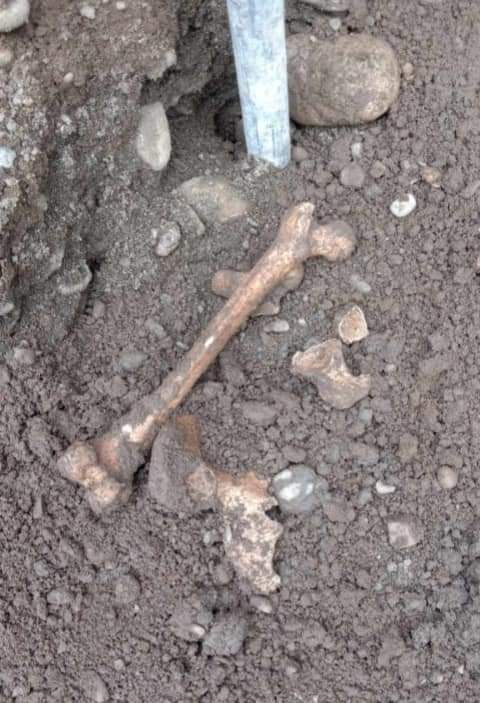 #Brigada:
MISTERYOSONG KALANSAY, NATAGPUAN SA BAYOMBONG, NUEVA VISCAYA! BUTO NGA BA ITO NG TAO?

Abangan ngayong Sabado!

#BrigadaSaturdays | 9:45 PM sa GTV