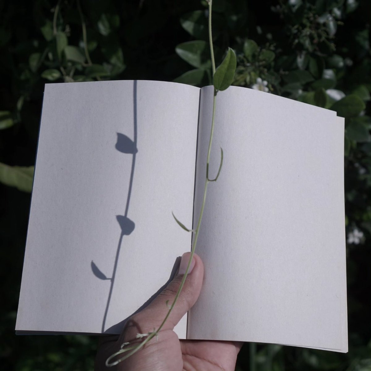 yugaknow's tweet photo. Twitter, please do your magic.

Aku jualan notebook handmade lucu dan menggemaskan. https://t.co/HYlYsM4OtW