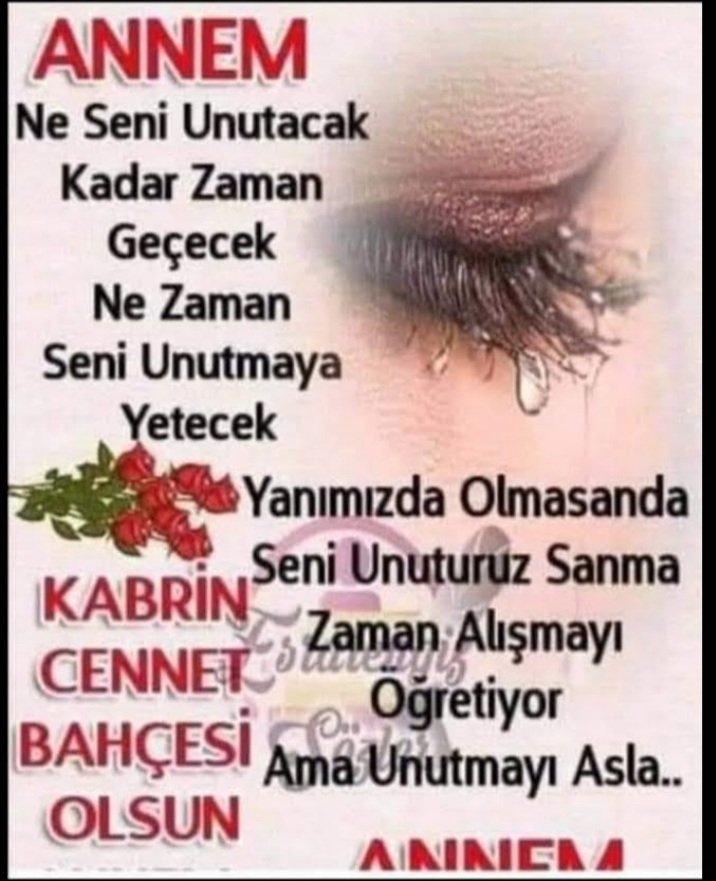 Canım annemin bugün aramızdan ayrılışının 13 yıl oldu seni hiç unutmadım Canım annem Allah'ım rahmetiyle muamele eylesin tüm annelerin mekânları cennet eylesin