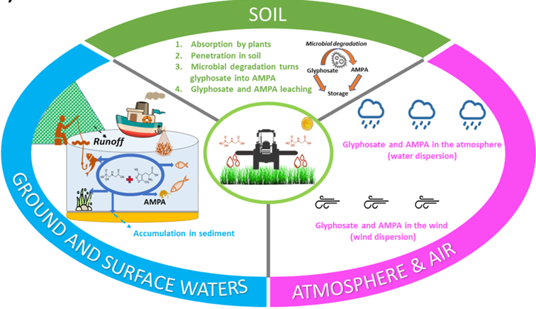 Institut Jean Lamour (@labo_ijl) on Twitter photo #ResultatScientifique | Glyphosate uses, adverse effects and alternatives: focus on the current scenario in Brazil
📕doi.org/10.1007/s10653…
🤝<a href="/Univ_Lorraine/">Lorraine</a> <a href="/CNRS_Centre_Est/">CNRS Centre-Est</a> <a href="/CNRSphysique/">CNRS Physique</a> <a href="/CNRSchimie/">CNRS Chimie</a> #ResultatScientifique | Glyphosate uses, adverse effects and alternatives: focus on the current scenario in Brazil
📕doi.org/10.1007/s10653…
🤝<a href="/Univ_Lorraine/">Lorraine</a> <a href="/CNRS_Centre_Est/">CNRS Centre-Est</a> <a href="/CNRSphysique/">CNRS Physique</a> <a href="/CNRSchimie/">CNRS Chimie</a>