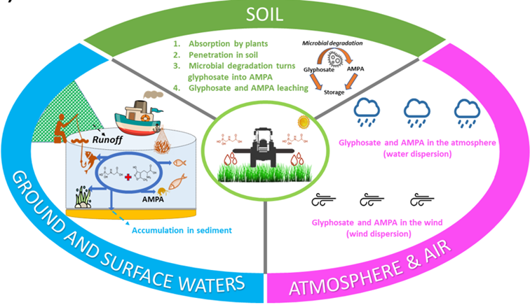 #ResultatScientifique | Glyphosate uses, adverse effects and alternatives: focus on the current scenario in Brazil 📕doi.org/10.1007/s10653… 🤝@Univ_Lorraine @CNRS_Centre_Est @CNRSphysique @CNRSchimie