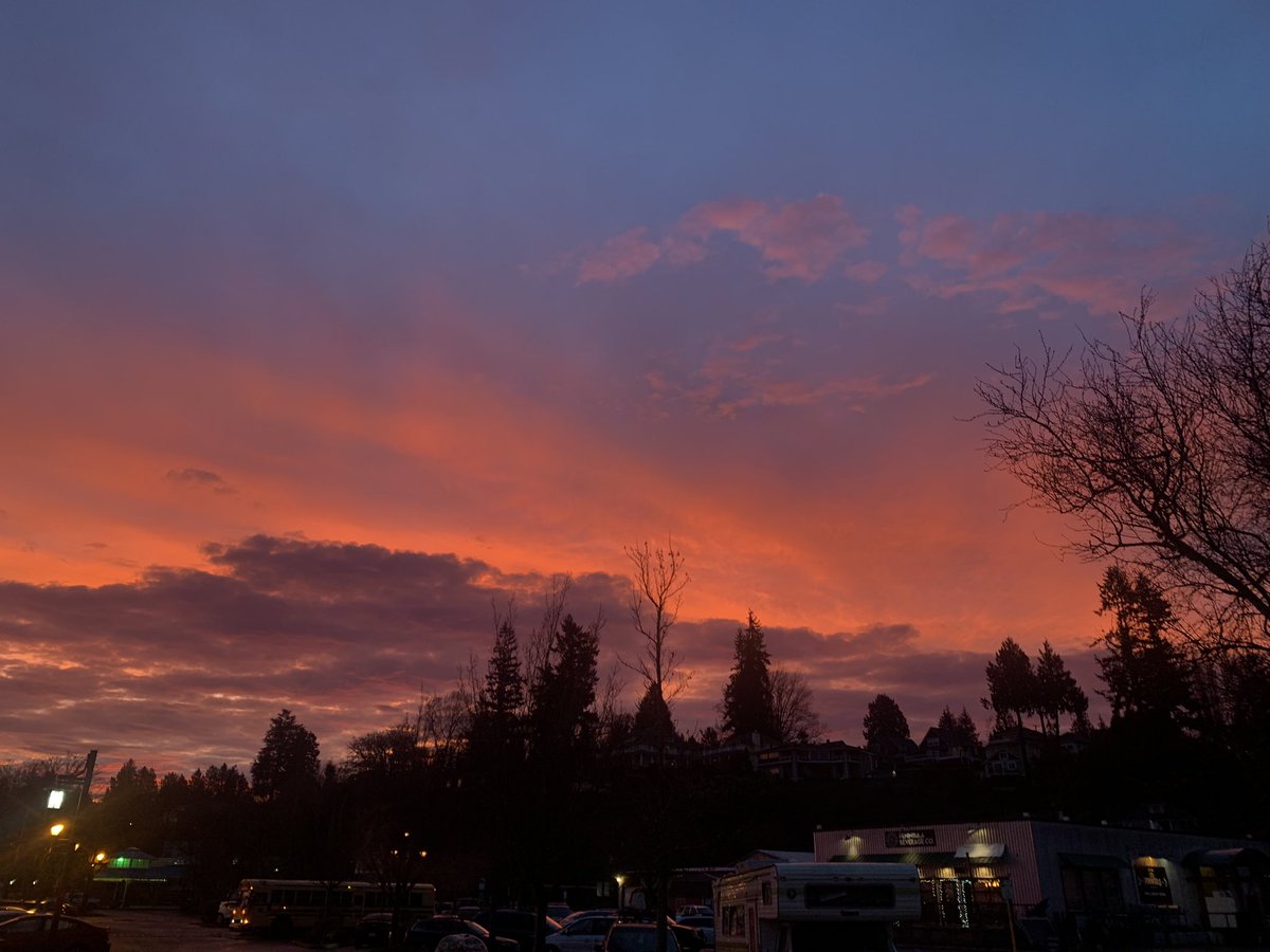 YugiAsh__'s tweet photo. took this a couple days ago i hope everyone likes it https://t.co/oaTcxflJMG