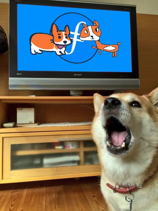 $CORGI going to make a big history 

Still fading anon ? 

$CORGI now followed by <a href="/Filecoin/">Filecoin</a> 
and it's just getting started…..

$Corgi $Fil #Filecoin #Fil