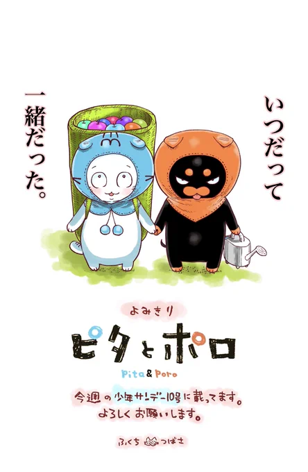 よかったらアンケートの方もよろしくお願いします!✨🍎 #ピタとポロ #少年サンデー