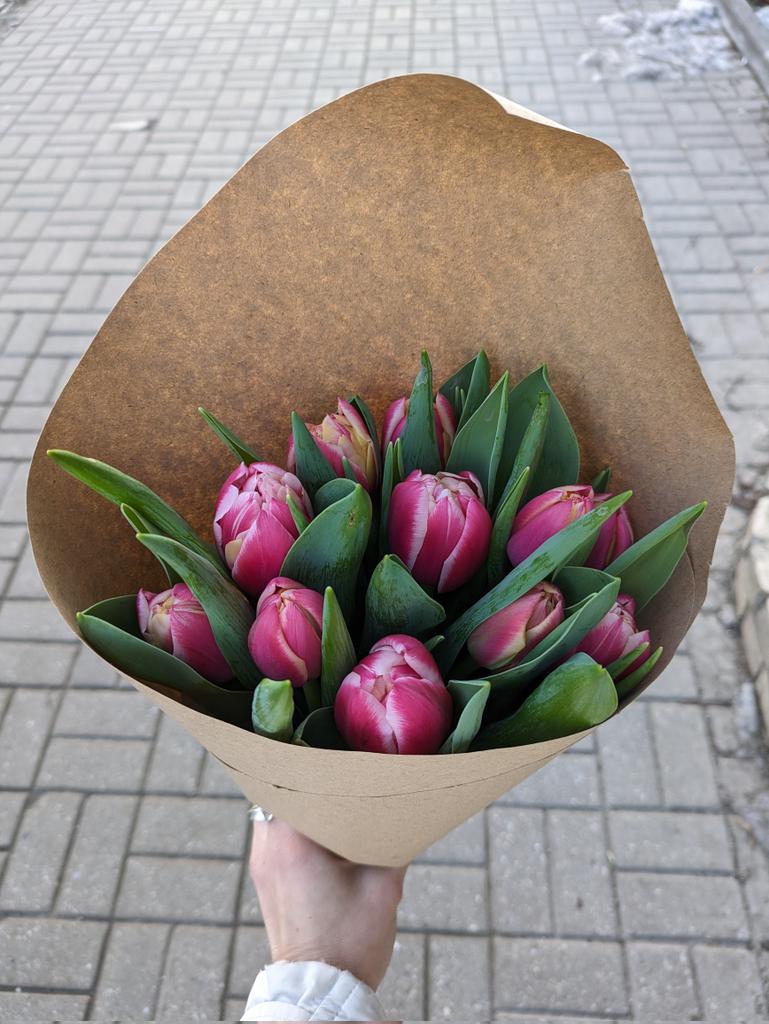 Sasha_Ambroz's tweet photo. Давайте заверну їх вам в крафтовий папір, знаєте, наче ви в Амстердамі купили собі букет на вулиці перед роботою. Наче вже весна. https://t.co/oT7X9DdIiB
