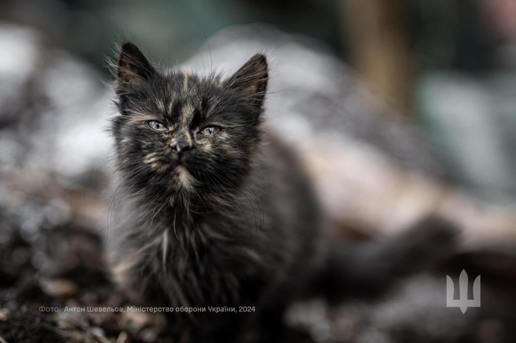 Never, never, never give up.

📷: Anton Sheveliov, Ministry of Defence