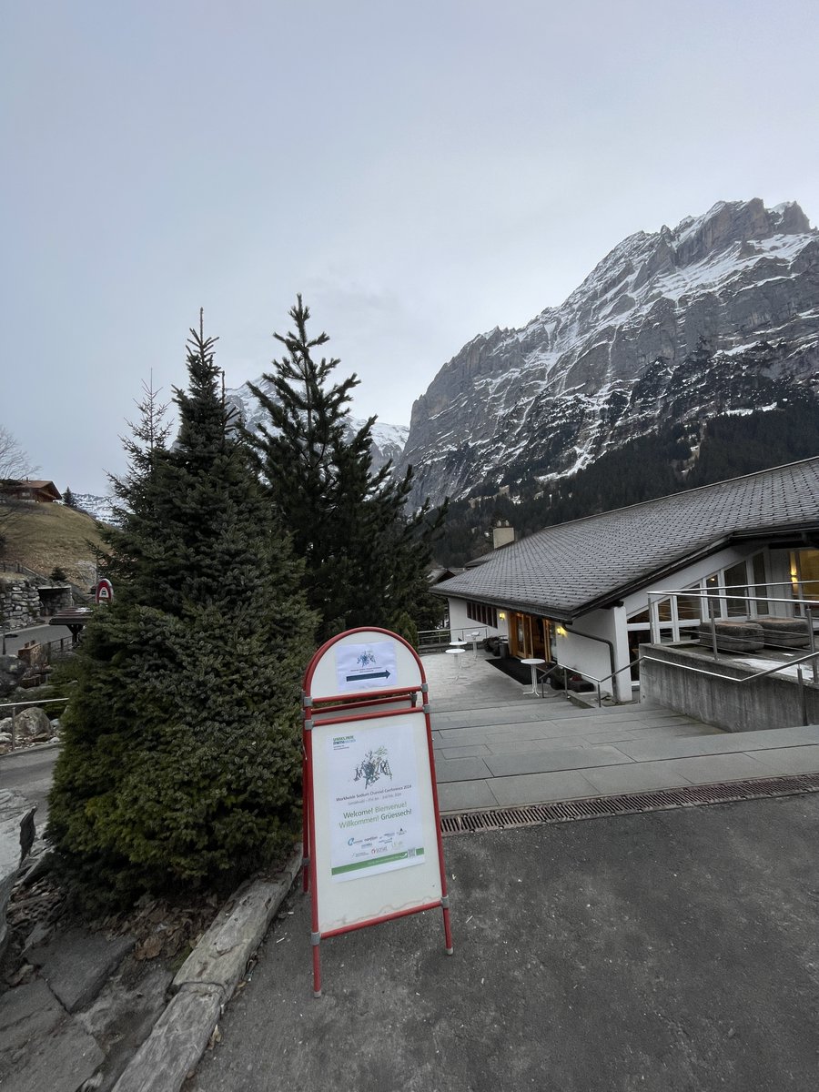 Day 2 in glorious #Grindelwald.

More glorious #sodium #ionchannel science coming over mountains at #WSCC.

#pain #chronicpain #ephys #electrophysiology #patchclamp