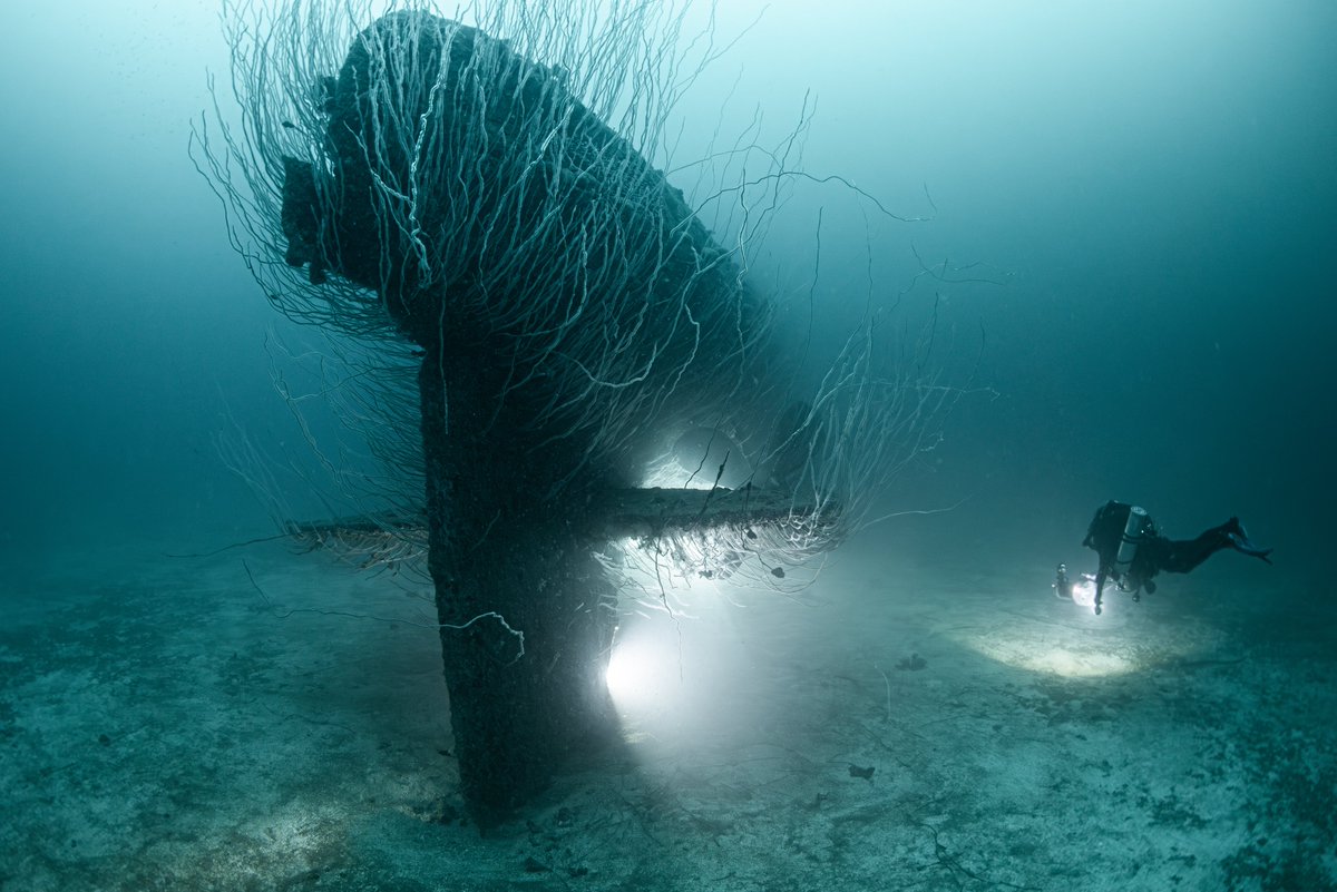 Divesoft tweet media