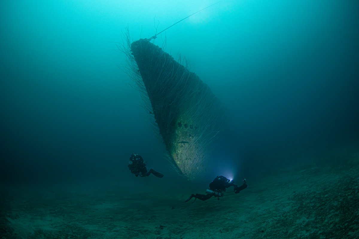 Divesoft tweet media